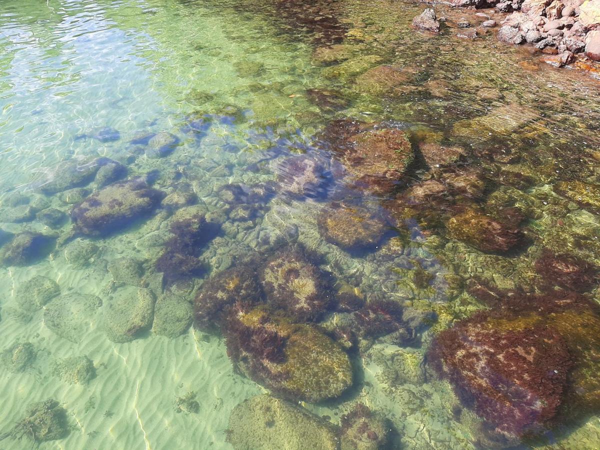 Willa Casa Maravilhosa A Beira Mar Em Angra Dos Reis Zewnętrze zdjęcie